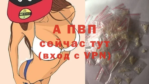 СК Арсеньев